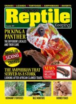 Practical Reptile Keeping – December 2021