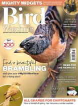 Bird Watching UK – February 2022