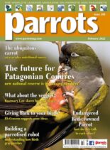Parrots – February 2022