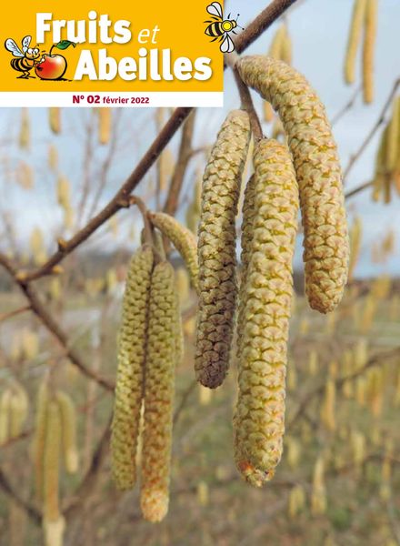 Fruits et Abeilles – Fevrier 2022