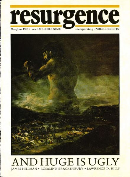 Resurgence & Ecologist – Resurgence 134 – May-June 1989