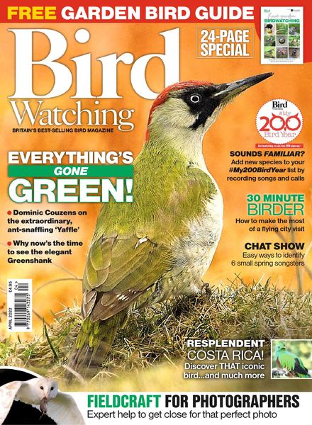 Bird Watching UK – April 2022
