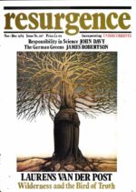 Resurgence & Ecologist – Resurgence, 107 – Nov-Dec 1984