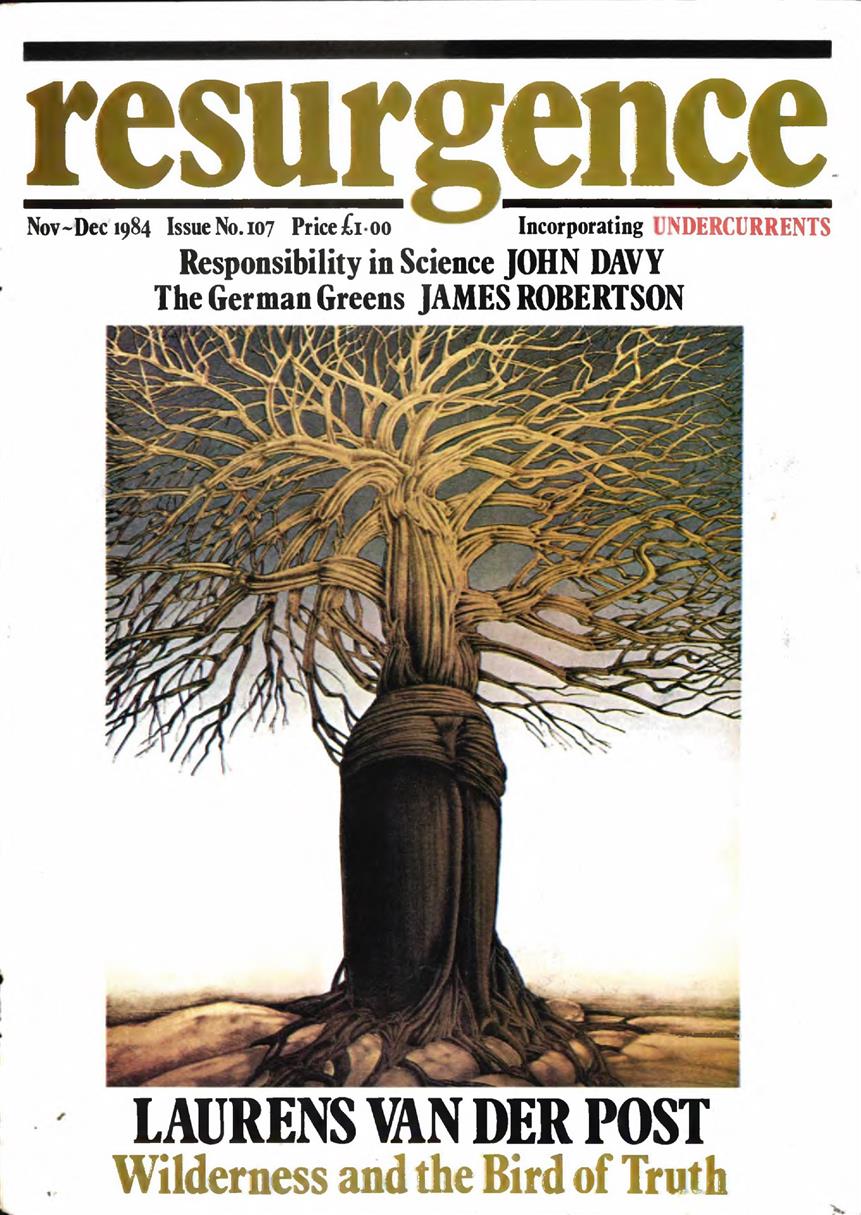 Resurgence & Ecologist – Resurgence, 107 – Nov-Dec 1984