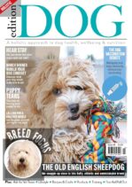 Edition Dog – Issue 42 – April 2022