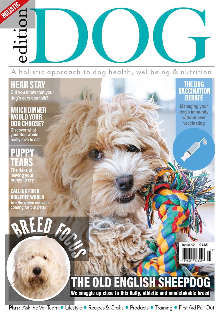 Edition Dog – Issue 42 – April 2022