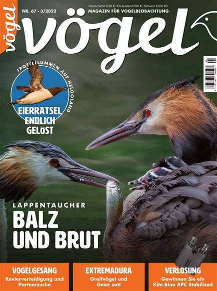 VOGEL – April 2022