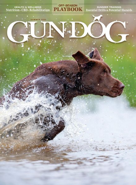 Gun Dog – May 2022