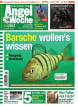Angel Woche – 13 Mai 2022