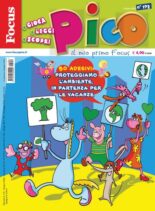 Focus Pico – 04 giugno 2022