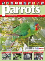 Parrots – July 2022