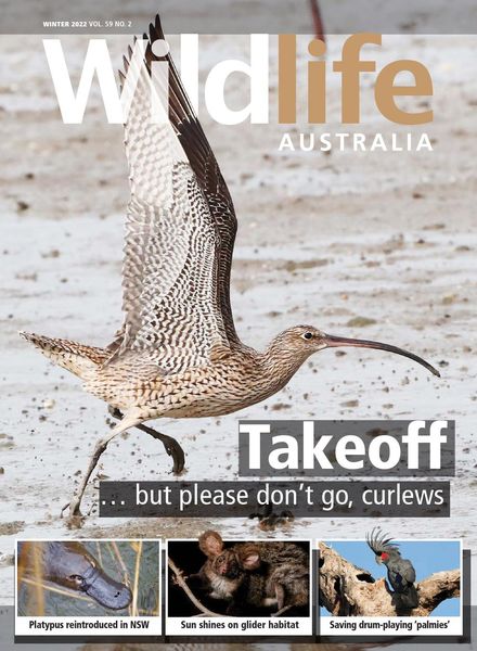 Wildlife Australia – Winter 2022