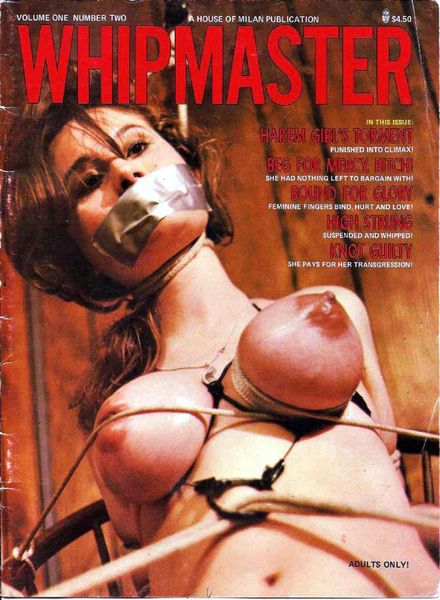 Whipmaster – Vol 1 n. 2 1978