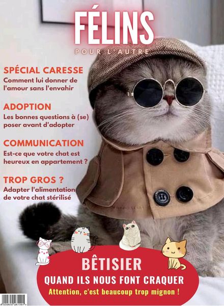 Felins pour l’autre – aout 2022