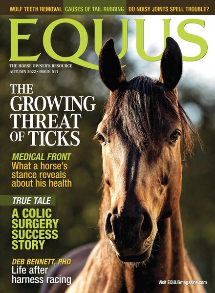 Equus – July 2022