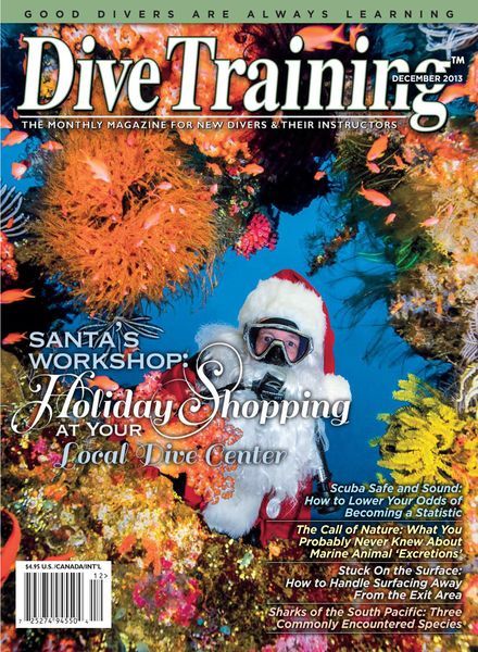 Dive Training – December 2013