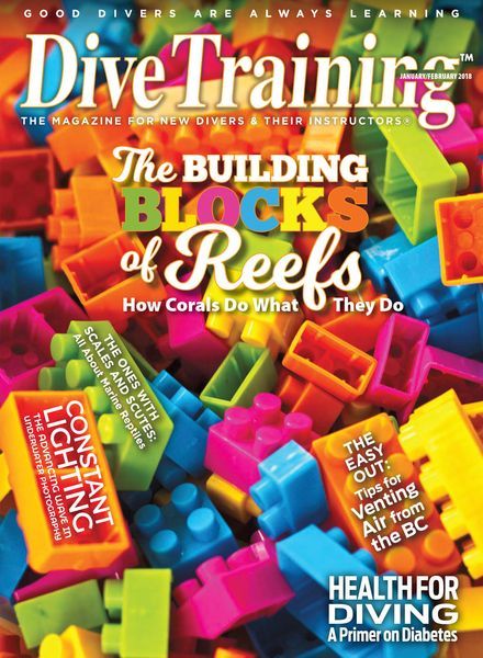 Dive Training – January 2018