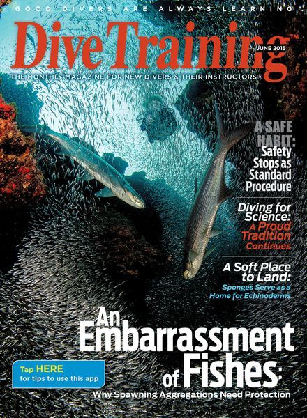 Dive Training – June 2015