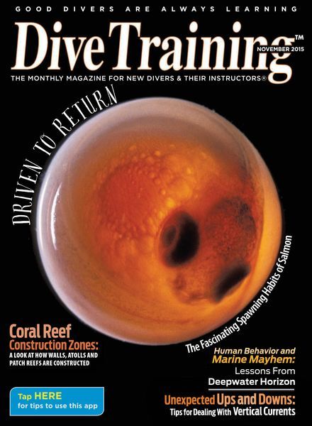 Dive Training – November 2015