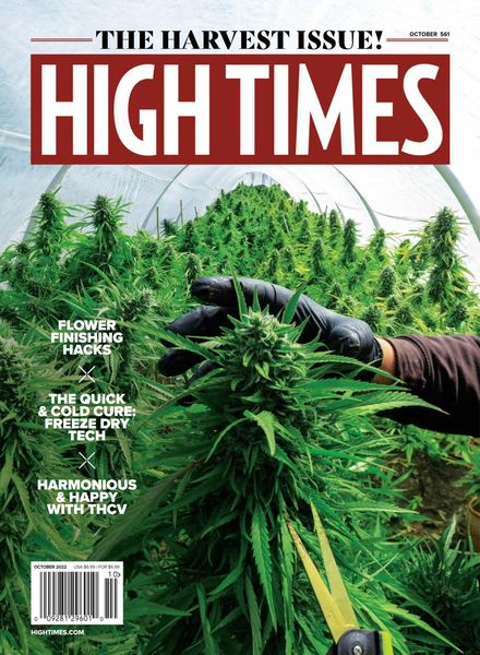 High Times – October 2022