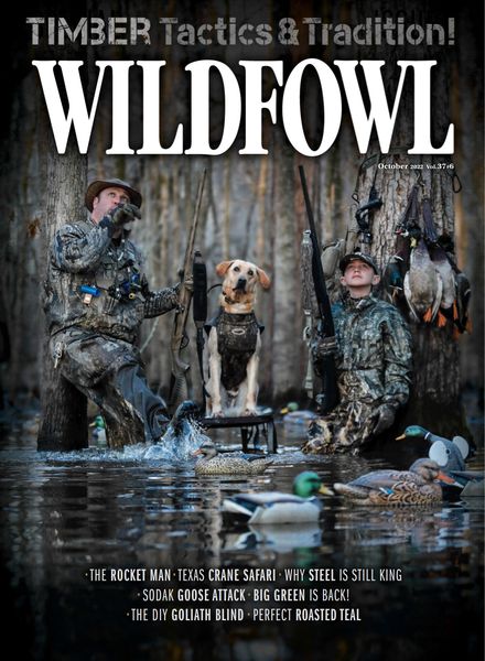 Wildfowl – October 2022