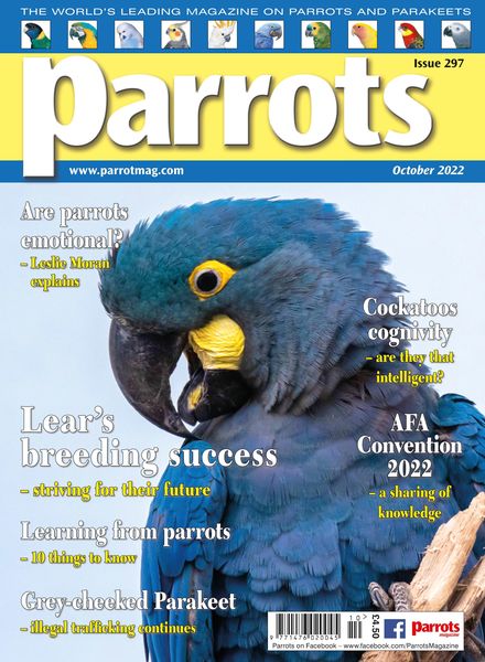 Parrots – October 2022
