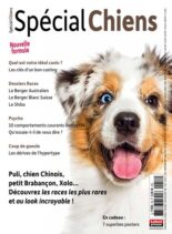 Special Chiens – Octobre-Decembre 2022