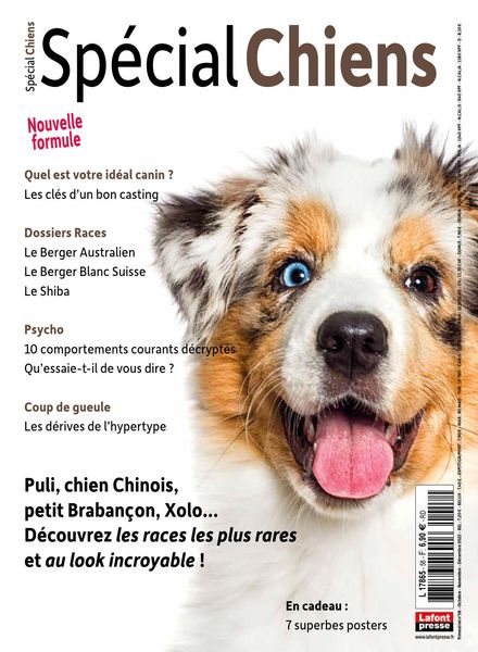 Special Chiens – Octobre-Decembre 2022