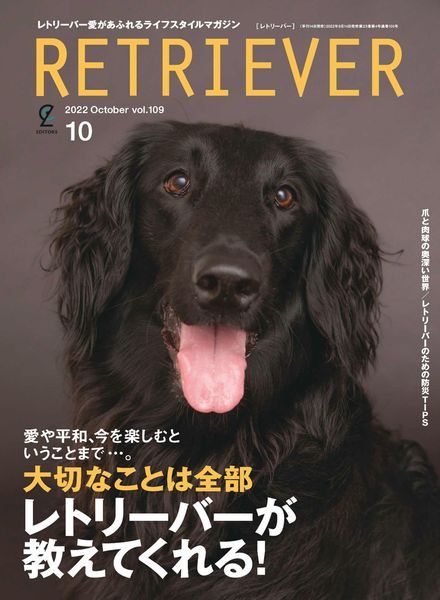 Retriever – 2022-09-01