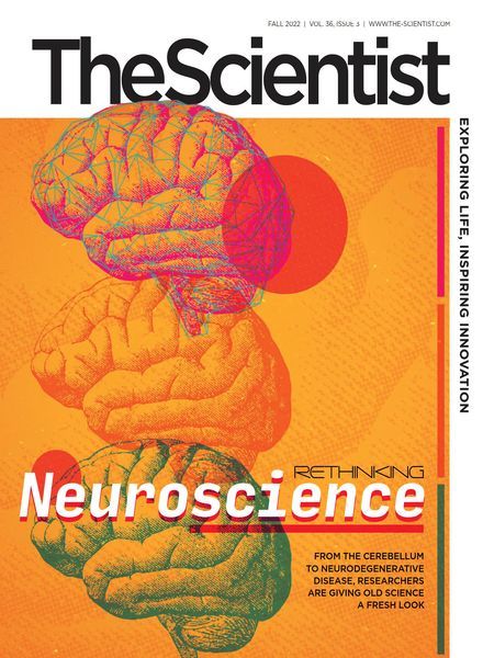 The Scientist – Fall 2022