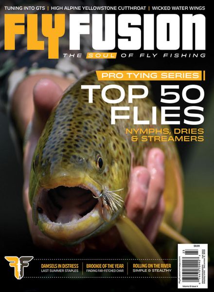 Fly Fusion – Fall 2022