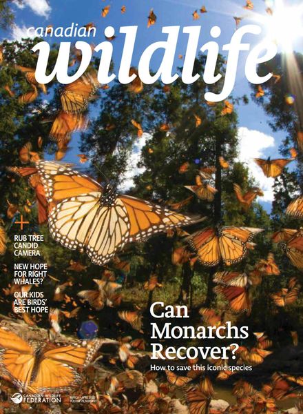Canadian Wildlife – March-April 2022