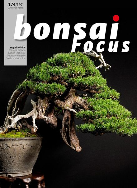 Bonsai Focus English Edition – January-February 2022