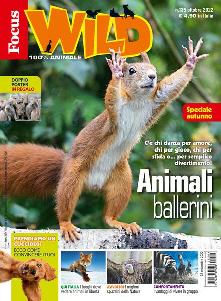 Focus Wild – ottobre 2022