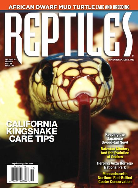 Reptiles – September-October 2022