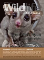 Wildlife Australia – Spring 2022