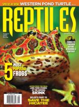 Reptiles – July-August 2021