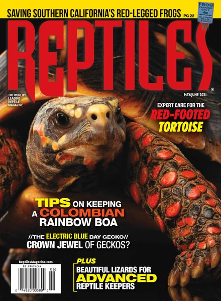 Reptiles – May-June 2021