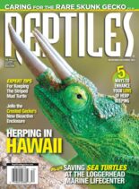 Reptiles – November-December 2021