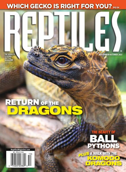 Reptiles – September-October 2021