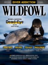 Wildfowl – November 2022