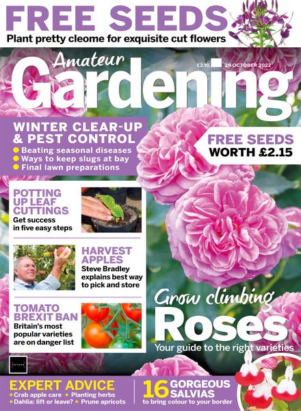 Amateur Gardening – 29 October 2022