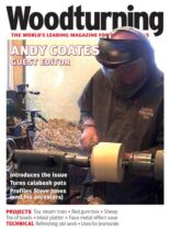 Woodturning – Issue 376 – November 2022