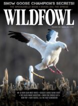 Wildfowl – December 2022