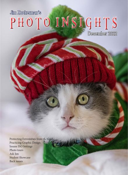 Photo Insights – December 2022