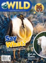 Wild Magazine for Kids – December 2022