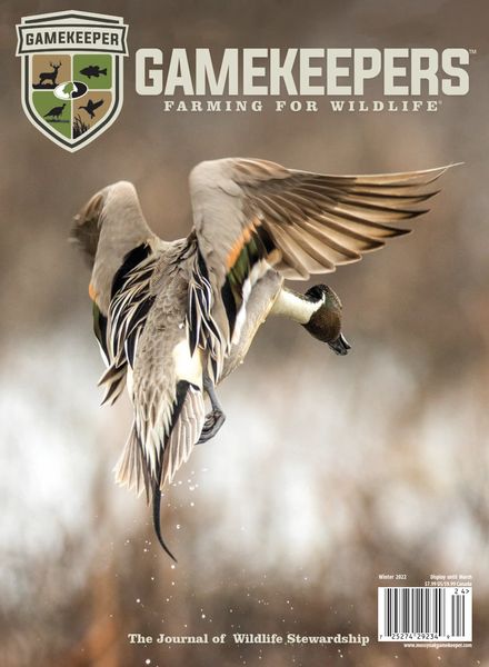 GameKeepers – December 2022