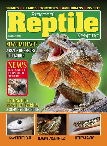 Practical Reptile Keeping – December 2022