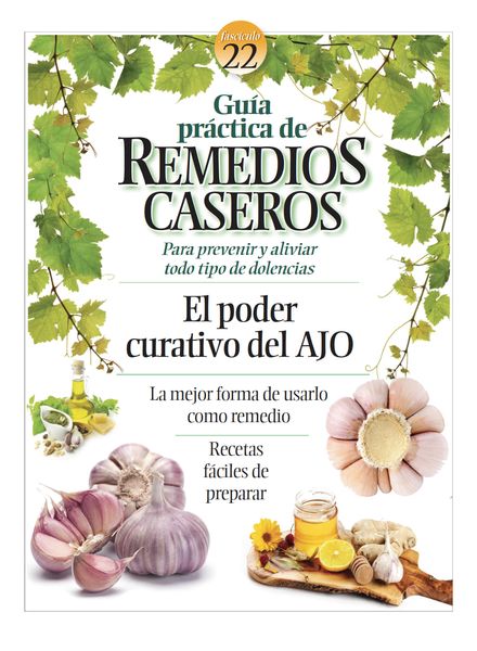 Remedios Caseros – diciembre 2022