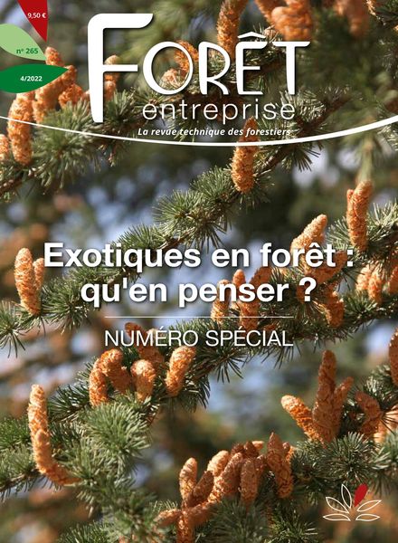 Foret Entreprise – decembre 2022
